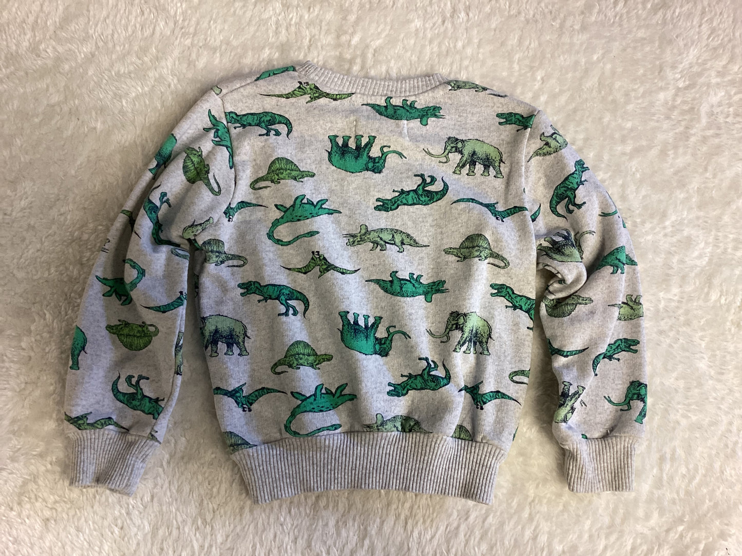 Alex & Jack Dinosaur Sweater Youth size 3T