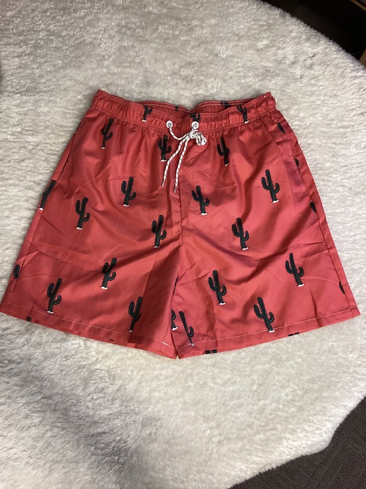 Mens Trunks size Large